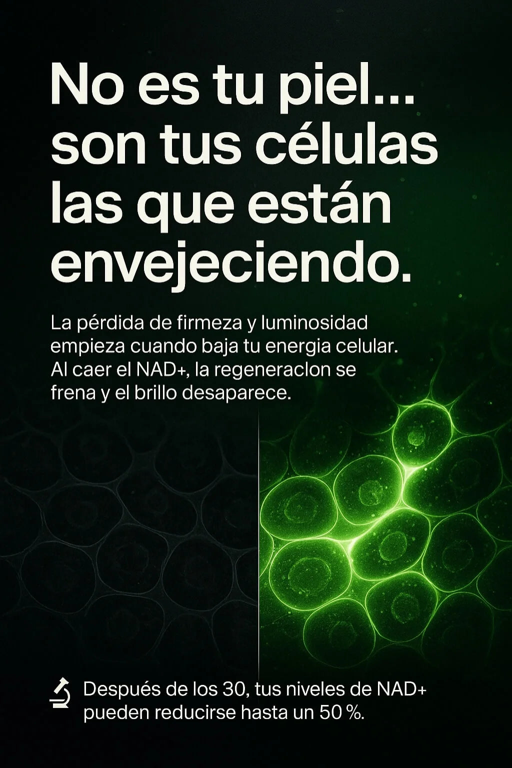 NAD+ ADVANCED CATA-KOR